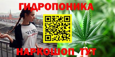 индика Кулебаки