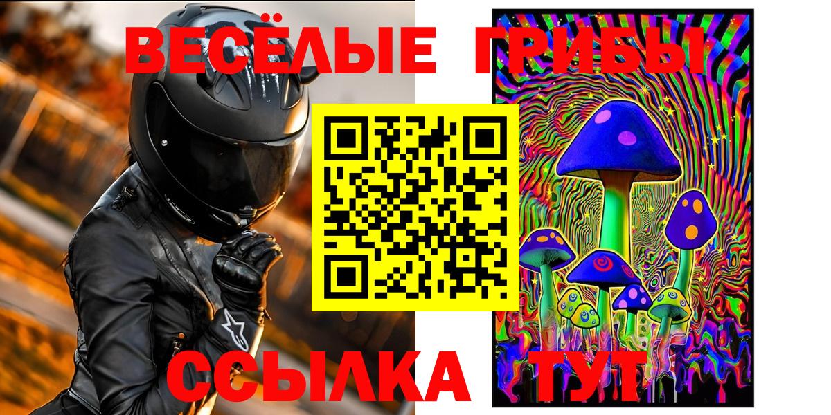 Выборг  Галлюциногенные грибы мицелий  Вход с VPN 