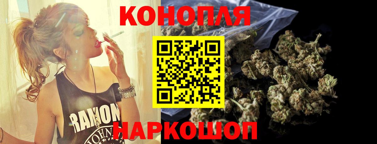 Шишки марихуана сатива Выборг